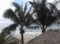 Beach View