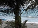 Beach View
