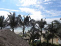 View from office