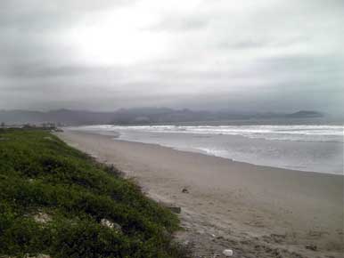 Beachfront view