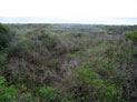 Ocean View from back of property