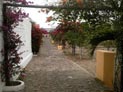 Entrance to yard