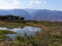 Pond