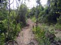 Trail through property