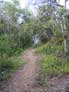 Trail through property