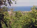 Ocean View